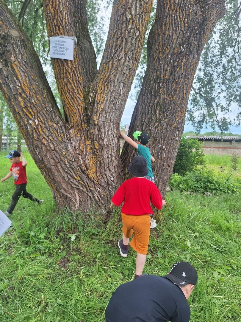 5 июня.